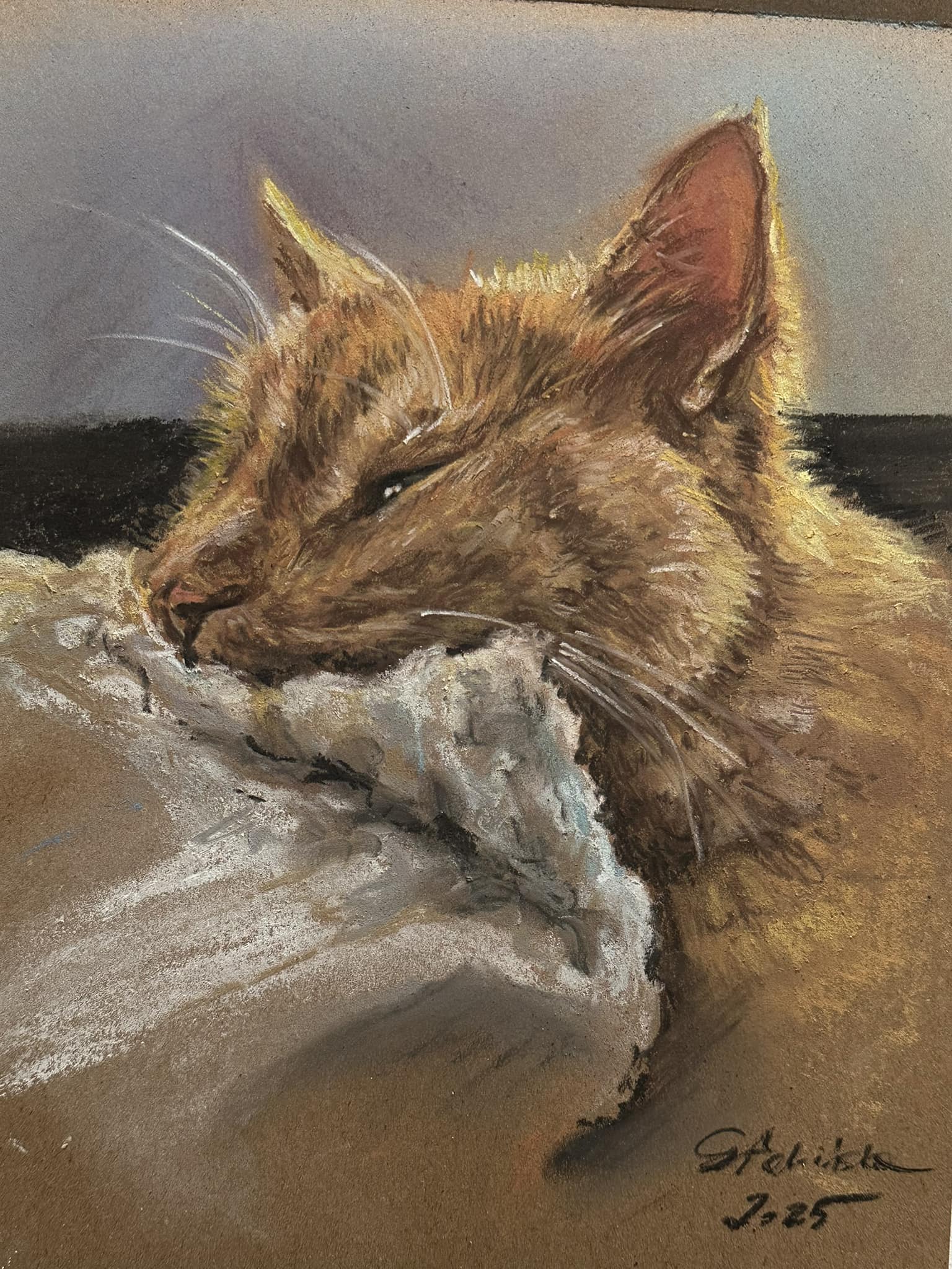 cat